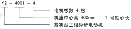 YR系列(H355-1000)高压YJTFKK4001-4三相异步电机西安西玛电机型号说明